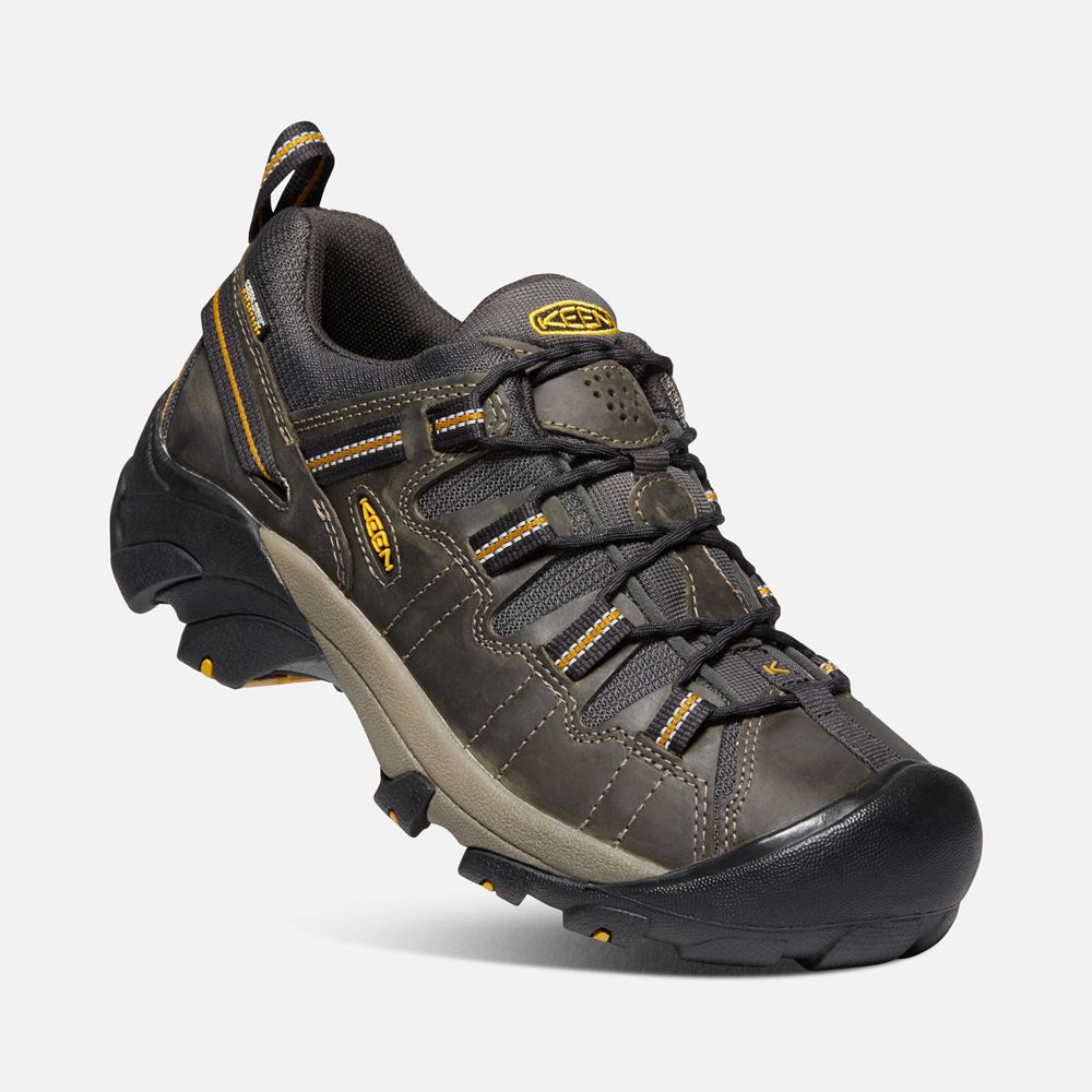 Keen Wandelschoenen Heren Zwart Bruin - Targhee Ii Waterproof - 04218-APYM